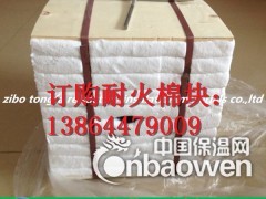 供应陶瓷纤维窑炉炉衬模块自主生产厂图3