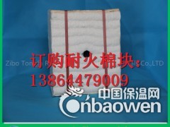 轮窑改造保温用硅酸铝纤维陶纤组合模块炉衬图3