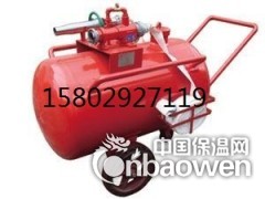 泡沫罐--压力式泡沫比例混合装置 泡沫罐图2