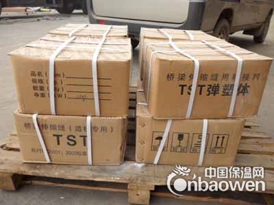 长沙TST弹塑体桥梁伸缩缝厂家