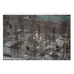 长沙市混凝土膨胀剂厂家价格-顺建兴业
