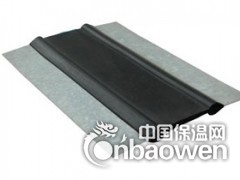 吉首中埋式钢边橡胶止水带图2