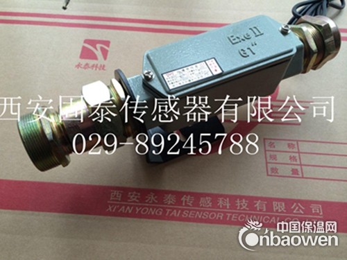 IRFB系列防爆型红外测温仪