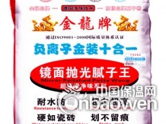 供应腻子粉批发 广西品牌腻子粉  桂林金龙牌十二合一腻子王图2