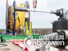 供应海洋油田DN100柔性软管图2
