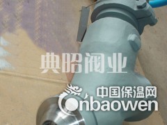 高温高压手动Y型截止阀图1