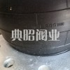 台湾固安震YS-FLEX橡胶软接头