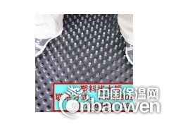 专业青岛烟台屋顶花园绿化排水板土工布图2
