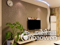 广东品牌硅藻泥硅藻泥代理金太郎硅藻泥招商图3