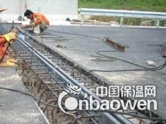 桥梁伸缩缝价格 E型桥梁伸缩缝价格 桥梁伸缩缝厂家直销图3