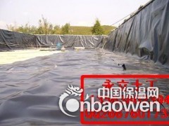 供应优质土工膜 藕池防渗 鱼塘防渗专用膜（图）图3