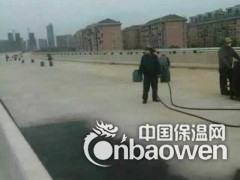 供应道桥BBC-251改性沥青聚合物防水材料图3