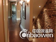 意大利进口马来漆图3