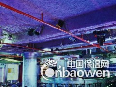 神东牌A-18环保吸音防火植物纤维喷涂25mm厚图3