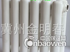 钢制柱型暖气片图2