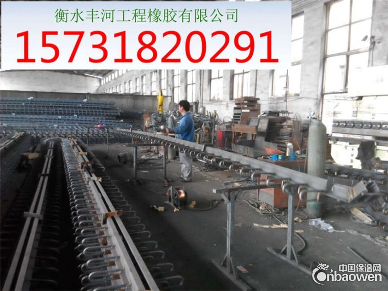 山西临汾桥梁伸缩缝类型