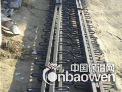 青海海北桥梁伸缩缝规范图2