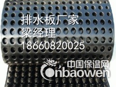 安徽排水板厂家图2