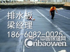 安徽排水板厂家图3