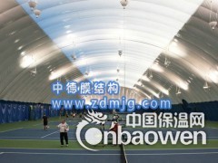运动会气膜 充气膜结构建筑 关注中德图2