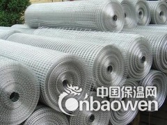 电焊网 镀锌电焊网 电焊网厂 PVC包塑电焊网 电焊网片图2