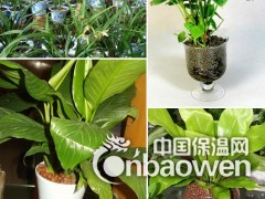合肥陶粒报价图3