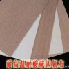 特氟龙高温布 PTFE四氟布