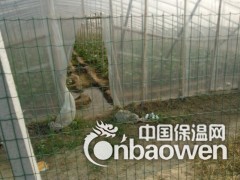 长期供应浸塑荷兰网 养殖围网 波浪形护栏网图2