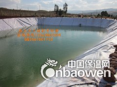 厂家批发藕池专用膜价格 防根刺藕池膜价格图2