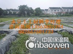 厂家批发藕池专用膜价格 防根刺藕池膜价格图3