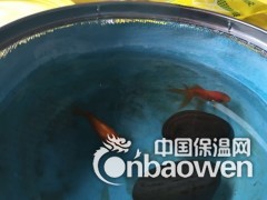 广州雷庭防水，雷庭防水厂家直销图2