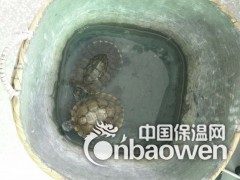 雷庭防水建材 保证你一用就爱上 适合于工程图3