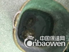 广州雷庭防水厂家图2