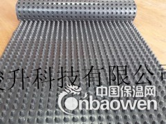 江西排水板供应图3