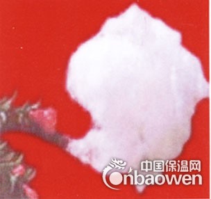 硅酸铝耐火陶瓷纤维棉