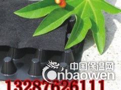 商丘屋面种植蓄水板  车库绿化排水板图3