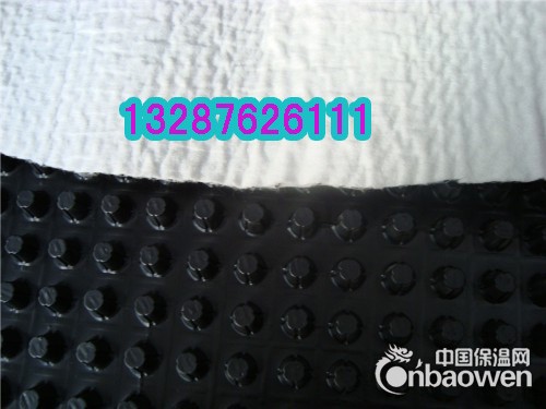 德州地下车库绿化排水板  德州屋面种植蓄水板产地