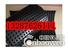 沾化屋面种植蓄水板厂家  车库种植蓄水板图2