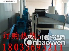A级硅质板设备热固型改性聚苯板设备AEPS生产厂家图2