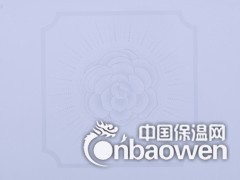 河北正定高级环保铝天花板生产厂家图3