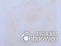 珠光系列铝天花板生产厂家图3