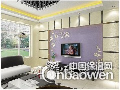 青岛硅藻泥批发 山东心雅硅藻泥加盟图2