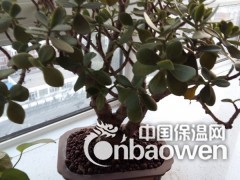 东营陶粒，东营陶粒厂图2