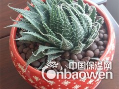 菏泽陶粒，菏泽陶粒厂图3