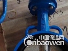 BVF-WB对夹式蝶阀TOZEN图1