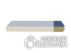 四川天丰聚氨酯冷库板图2