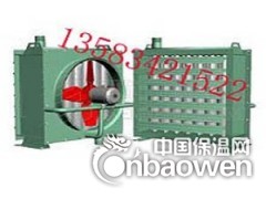 蒸汽型Q暖风机出厂价格是多少图2