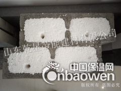 Z型非承重混凝土复合保温砌块图2