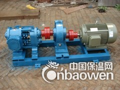 NYP50/1.0高粘度泵不阻塞保温转子泵图3