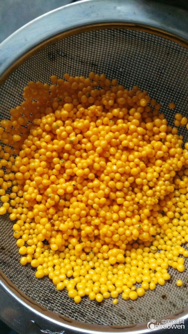 彩色可发泡聚苯乙烯EPS颗粒